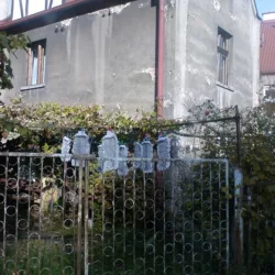 mopowe_krolestwo