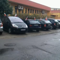 Mobilizacja flagowa