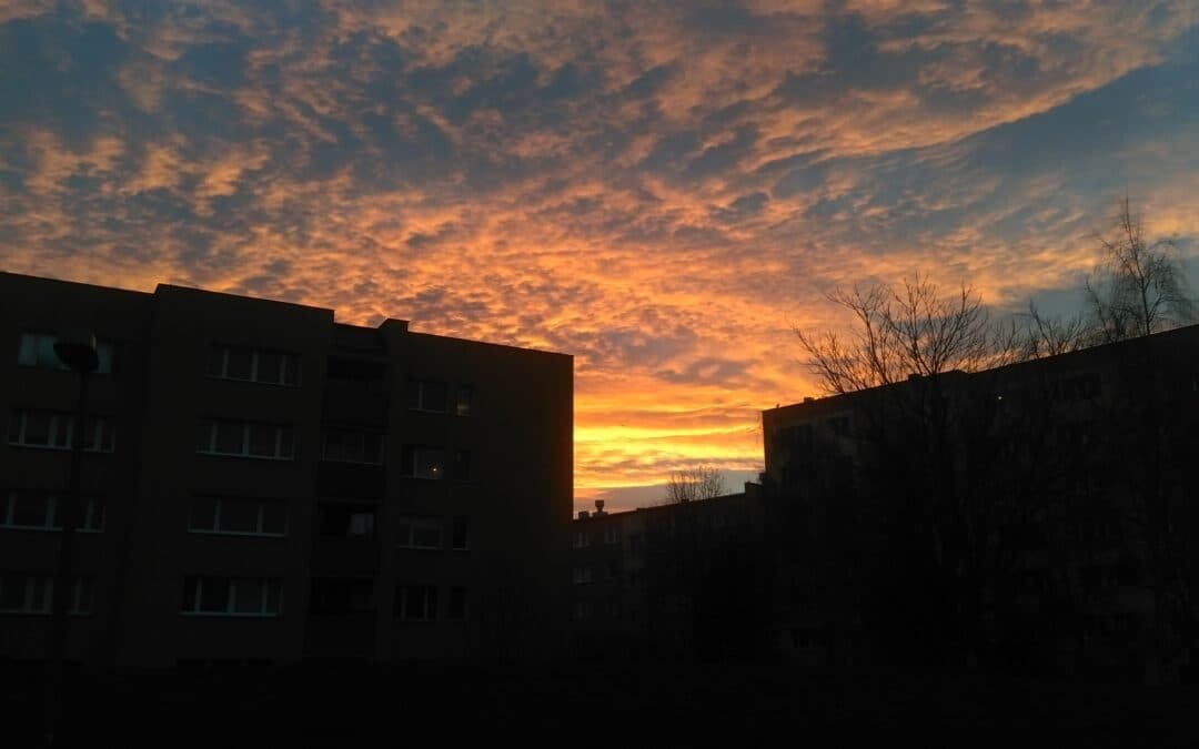 Poranki są czasem piękne