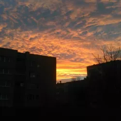 2015-12-11 07.48.42