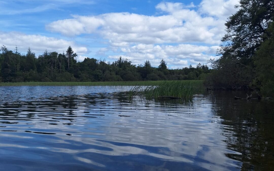 Lough Key: Magia i spokój w sercu Irlandii